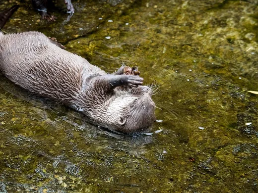 Przedszkole w Lubartowie Casper - Wycieczka do Zoo / CoDziennik Casperka